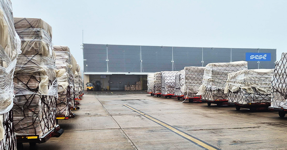 WEB Sesé-Terminal-Aeropuerto twitter