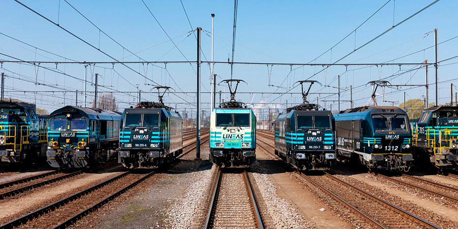 Destacada t12f1 pecovasa lineas